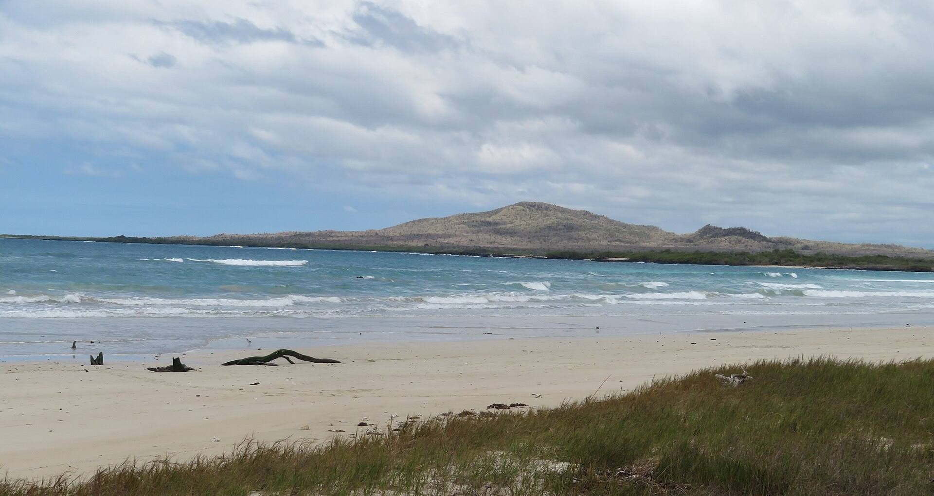 White sand and blue water along the beach at Puerto Villamil on Isabela